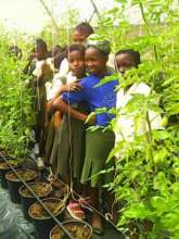 The children in the greenhouse