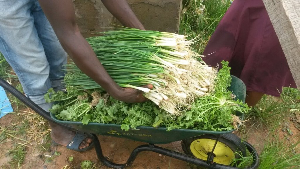 The kids kitchen: daily meals in the wake of Ebola