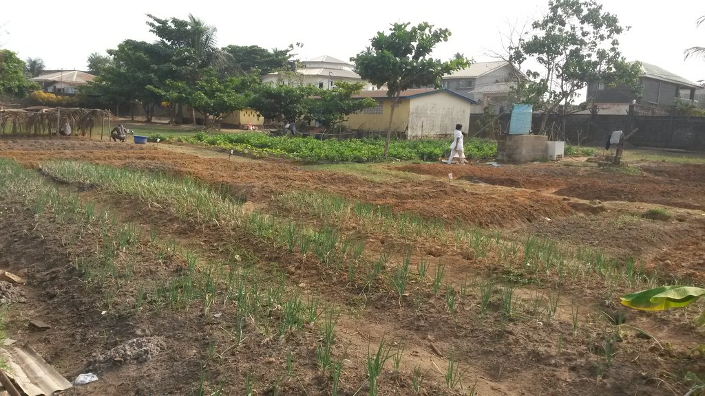 The kids kitchen: daily meals in the wake of Ebola