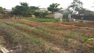 The We Are the Future center garden