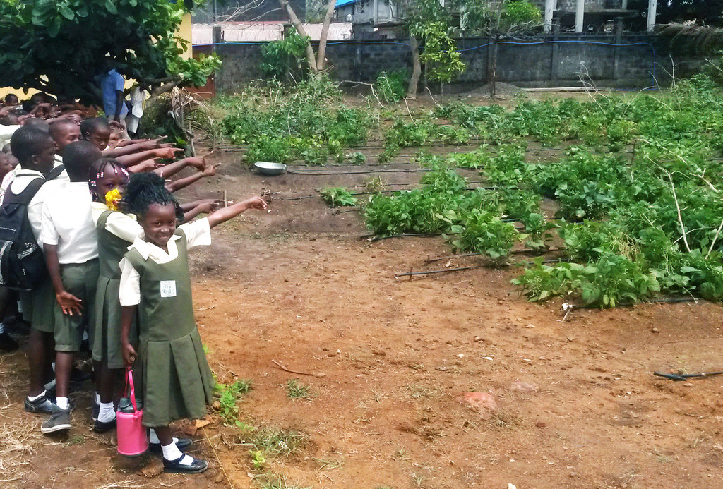 The kids kitchen: daily meals in the wake of Ebola