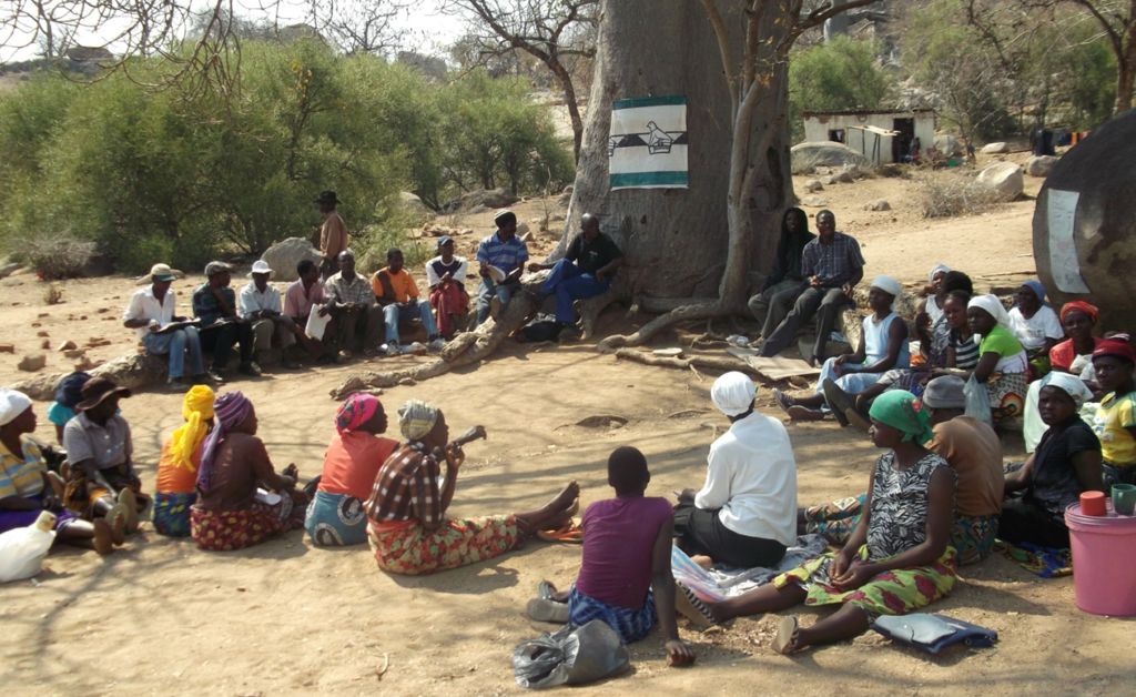 Hibiscus and Boaobab producers_Zimbabwe