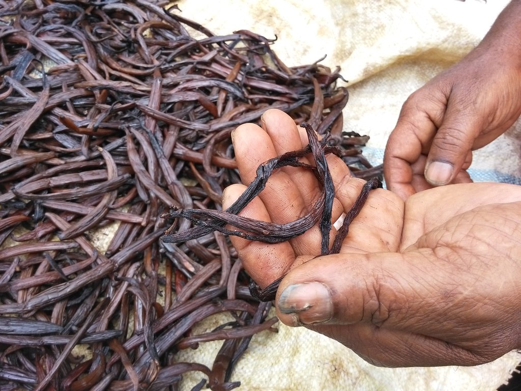A seat at the table for 80 producers in Swaziland