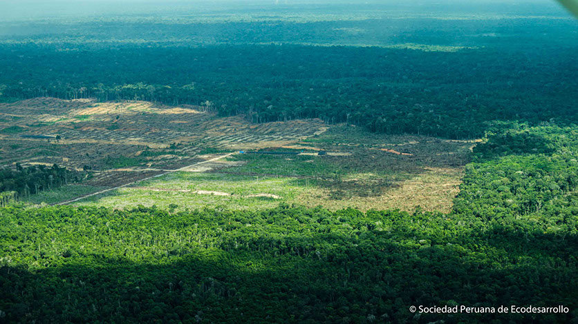 Communicate the impacts of deforestation in Peru
