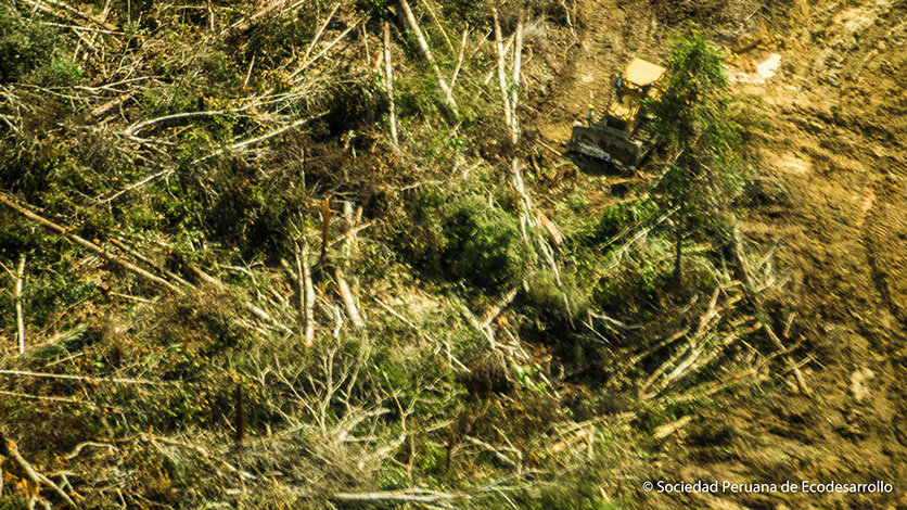 Communicate the impacts of deforestation in Peru