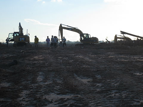 Communicate the impacts of deforestation in Peru