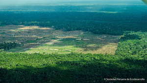 Deforest