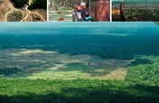 Communicate the impacts of deforestation in Peru