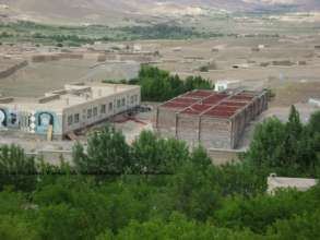 Luscious green gardens