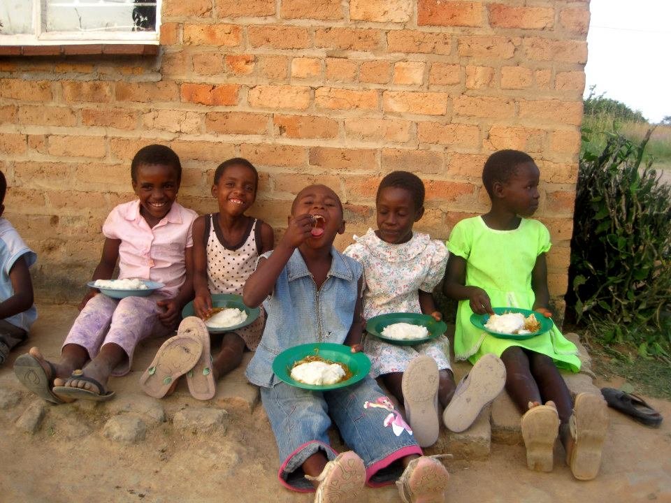 A gardening program for 250 orphans in Zimbabwe - GlobalGiving