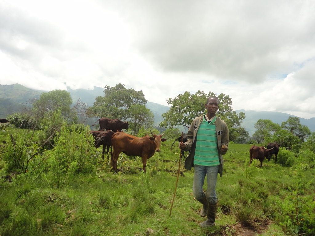 Provide Health Care Services to Fulani Community