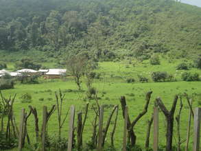 Bafmen Fulani Community Chief's Compound