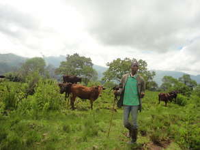Member of the Bafmen Fulani Community at Work.
