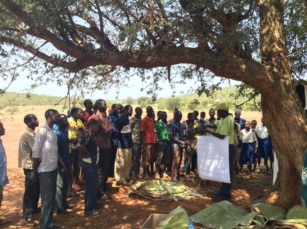 Help Poor Working Donkeys at Local Gold Mines