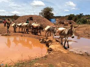 Donkey loaded with stones