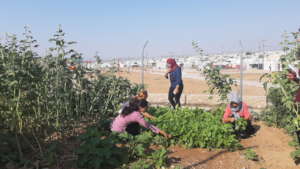 Gardening Activity