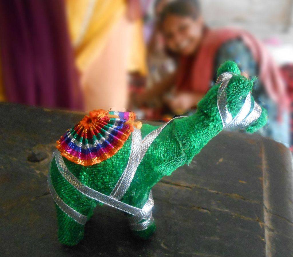 Handicraft skill education for Disadvantaged Girls