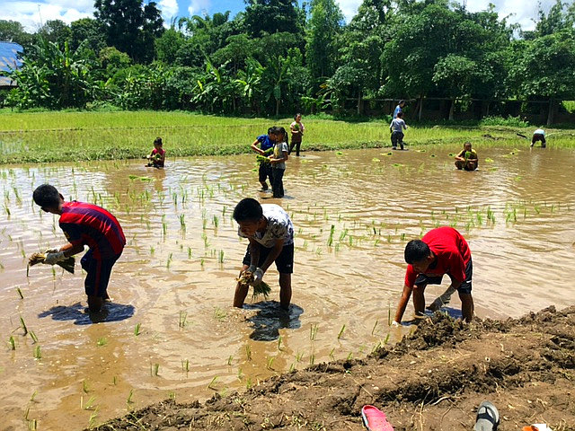 Irrigation system for our School's rice fields