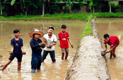 Irrigation system for our School's rice fields