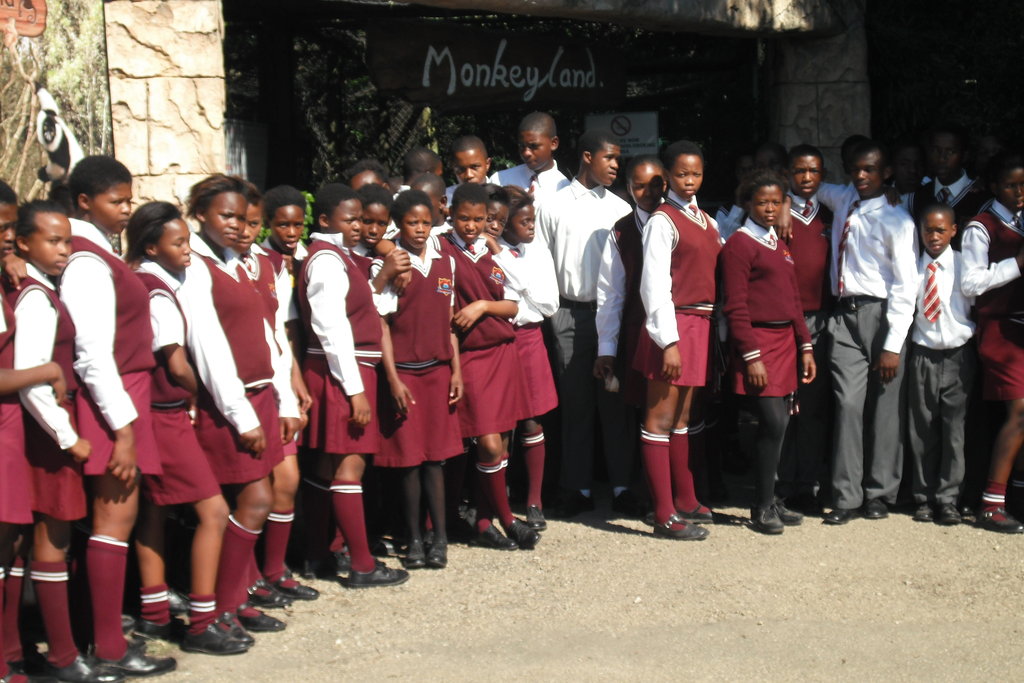 Educate Youth on Animal Welfare