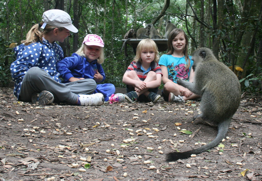 Educate Youth on Animal Welfare
