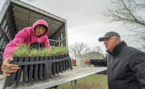 Trees delivered to the Oglala Lakota Tribe, SD