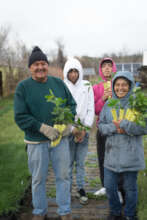 Tree delivery-Red Cloud Renewable Energy Center,SD