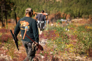 Jemez crew planting culturally-important seedlings