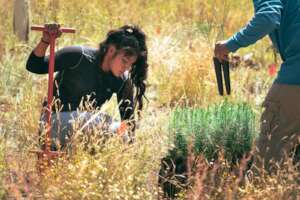 Cochiti Pueblo student on seedling planting day.