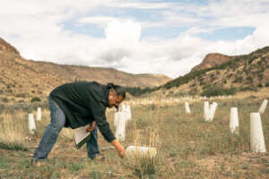 Monitoring plant site area in Cochiti Pueblo, NM