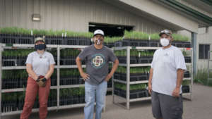 Loading trees at Colorado State Forest Nursery