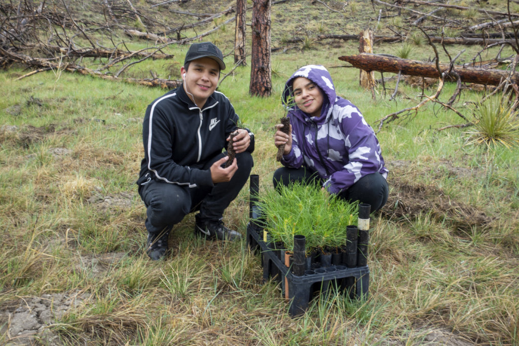 Support Reforestation Across the Indigenous West