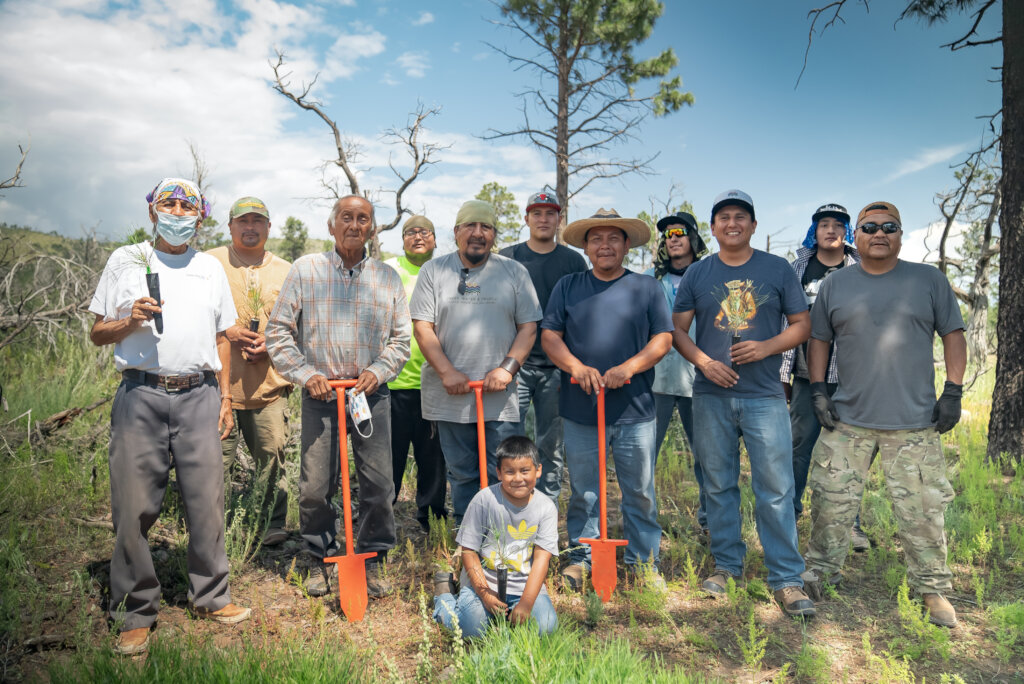 Support Reforestation Across the Indigenous West