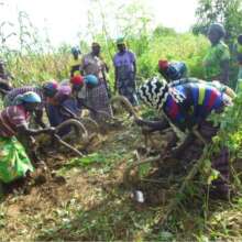 Women Working in the Garden in Nassile