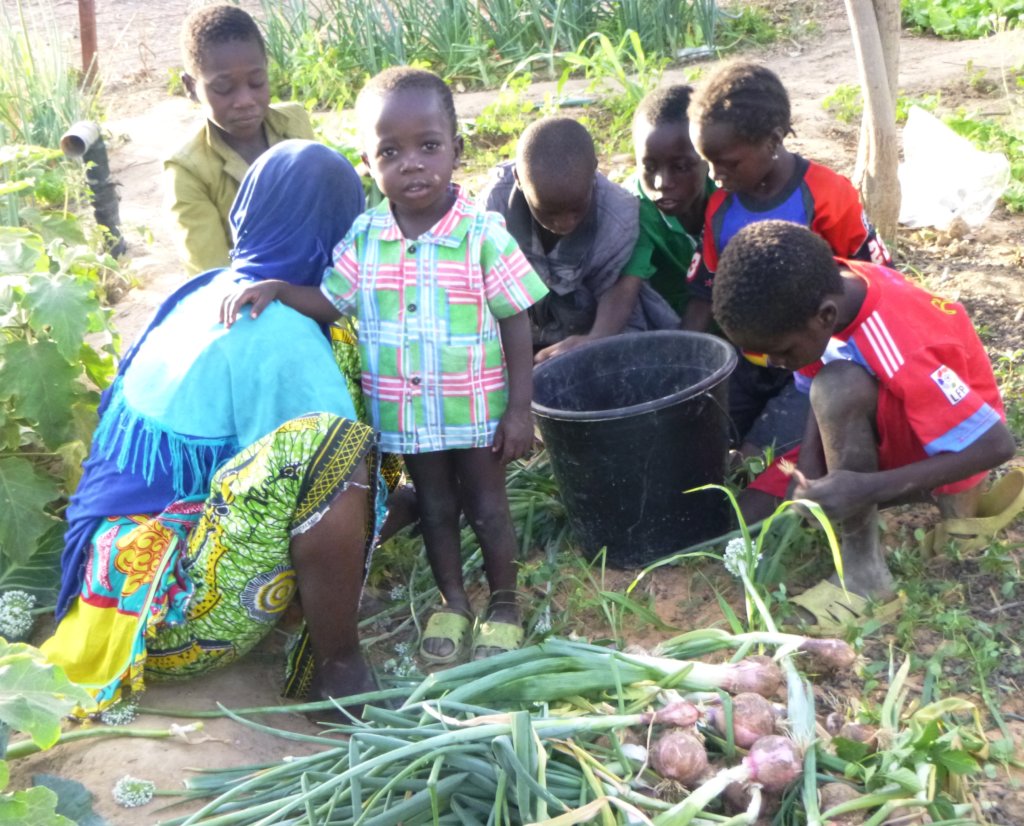 Women's Community Gardens in Niger