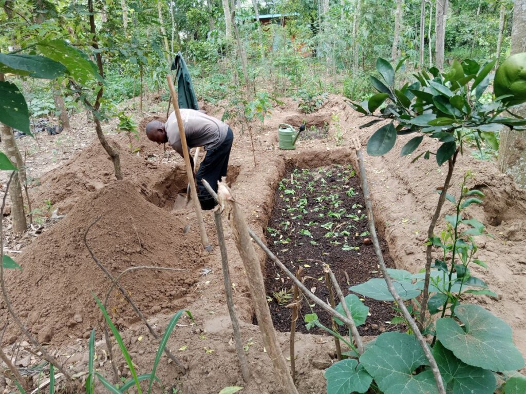 vegetable beds in food forest