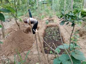 vegetable beds in food forest