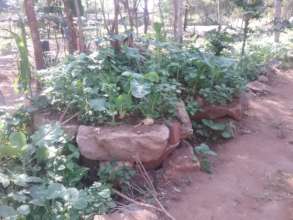 DNRC kitchen garden