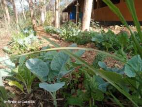 DNRC kitchen garden 1