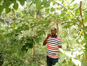 DNRC staff enjoying malberry fruits