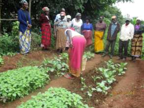 farmers learning about kitchen gardens