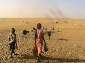 Walking across the hot desert to reach water