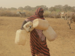Woman walking to water with jerry cans.