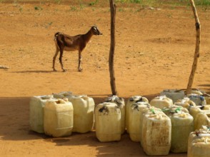 Just $24 provides two Jerry Cans - please help!