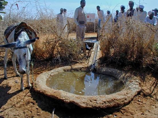 Water for the animals too!