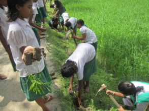 Tree planting!