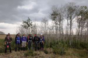 Earthwatch volunteers in an aspen sapling stand