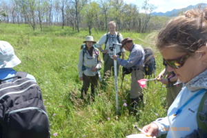 Earthwatch volunteers collect data in the field