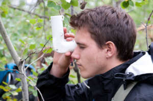 A volunteer measures tree density