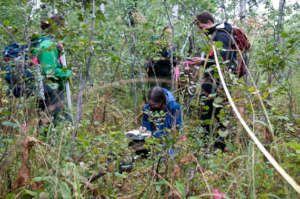 Volunteers taking measurements in dense brush